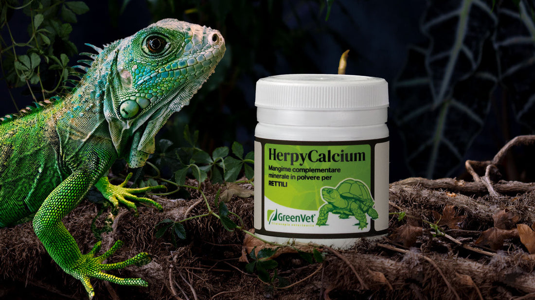 GreenVet HerpyCalcium: il supporto minerale essenziale per i tuoi rettili e anfibi