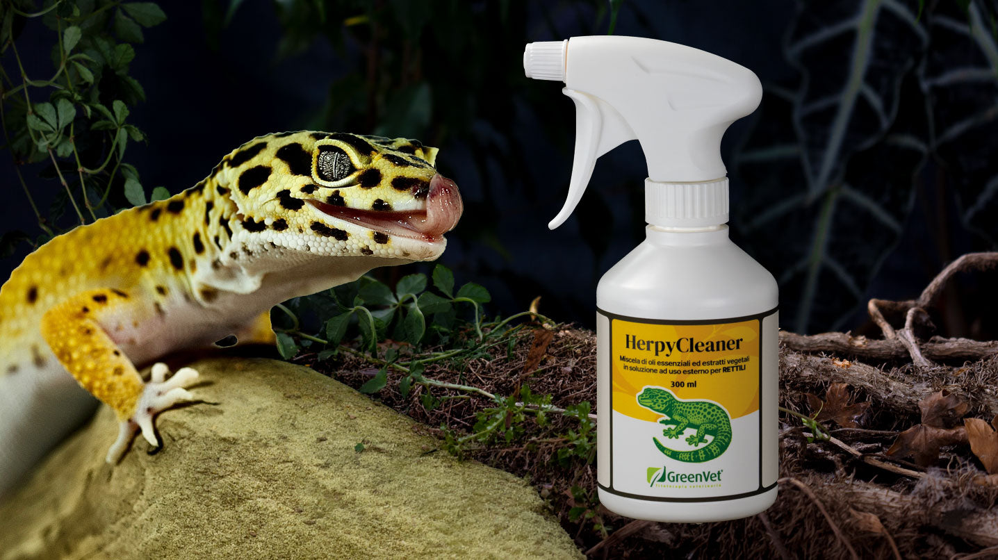 GreenVet HerpyCleaner: lo spray per l'igiene del terrario e del paludario.