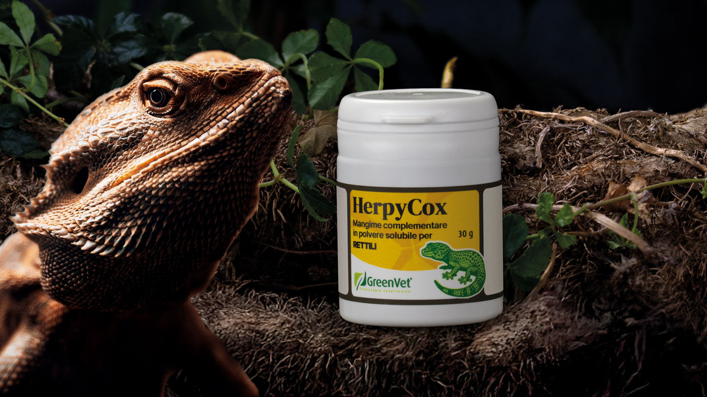 GreenVet HerpyCox