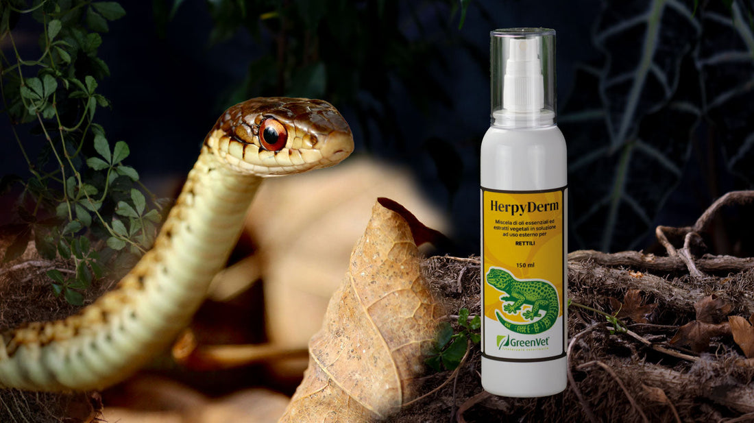 GreenVet HerpyDerm