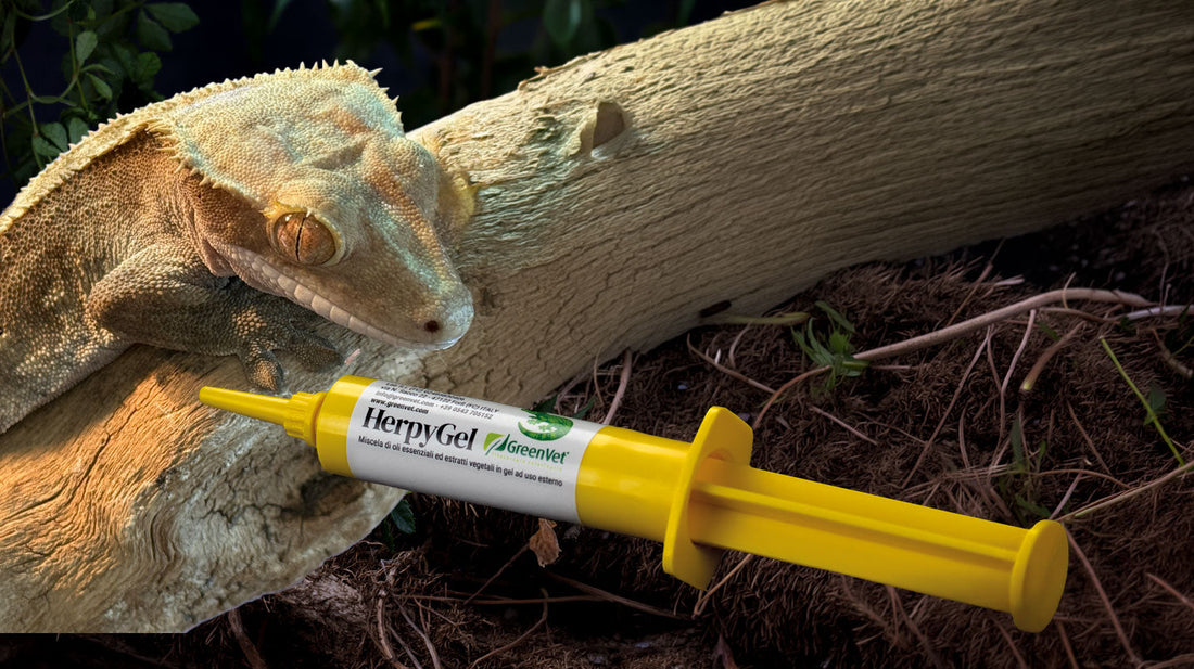 HerpyGel GreenVet - gel ad uso esterno per rettili