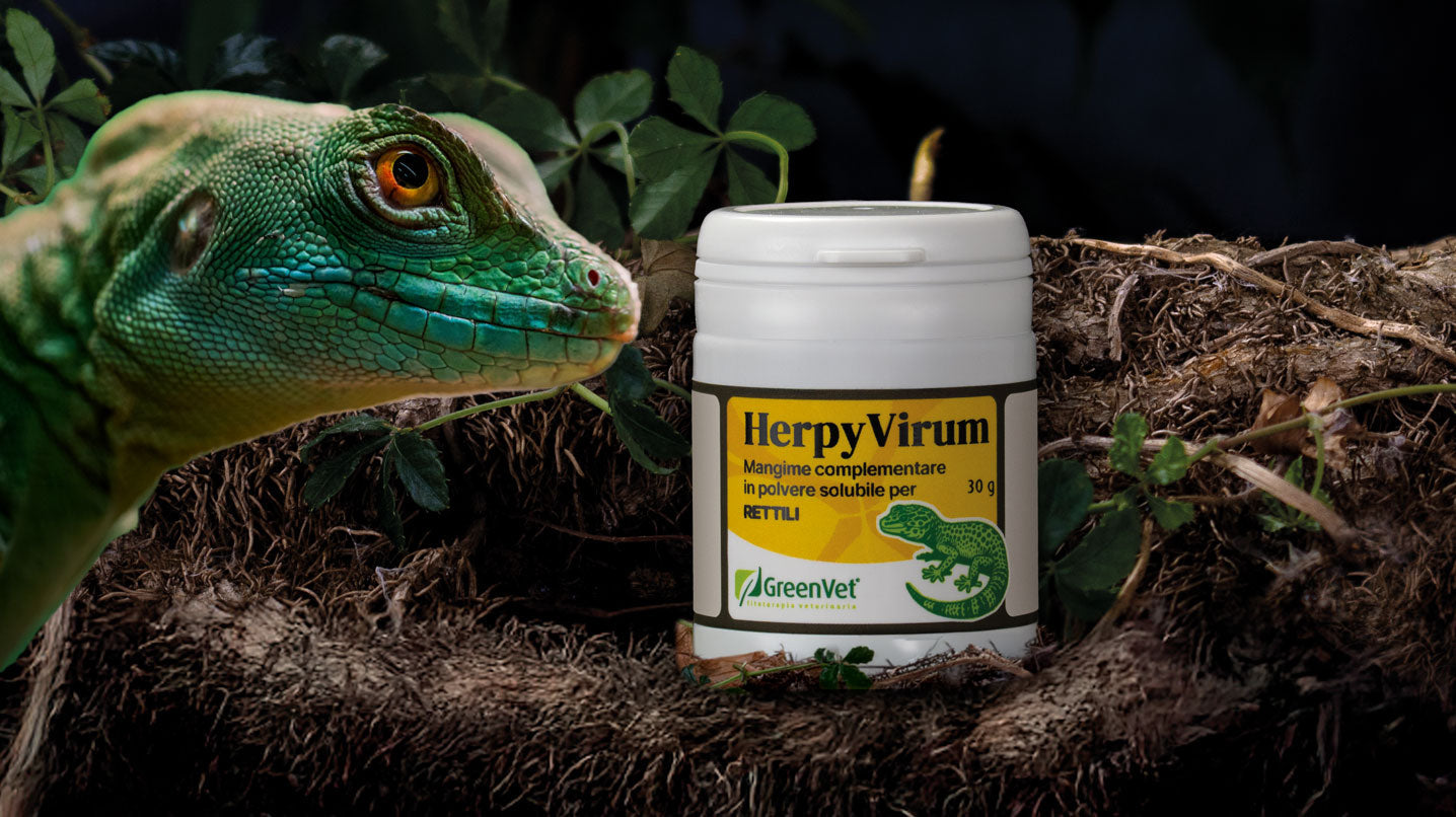 GreenVet HerpyVirum