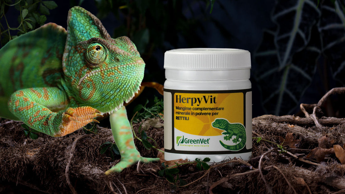 GreenVet HerpyVit: mangime complementare minerale in polvere per rettili e anfibi