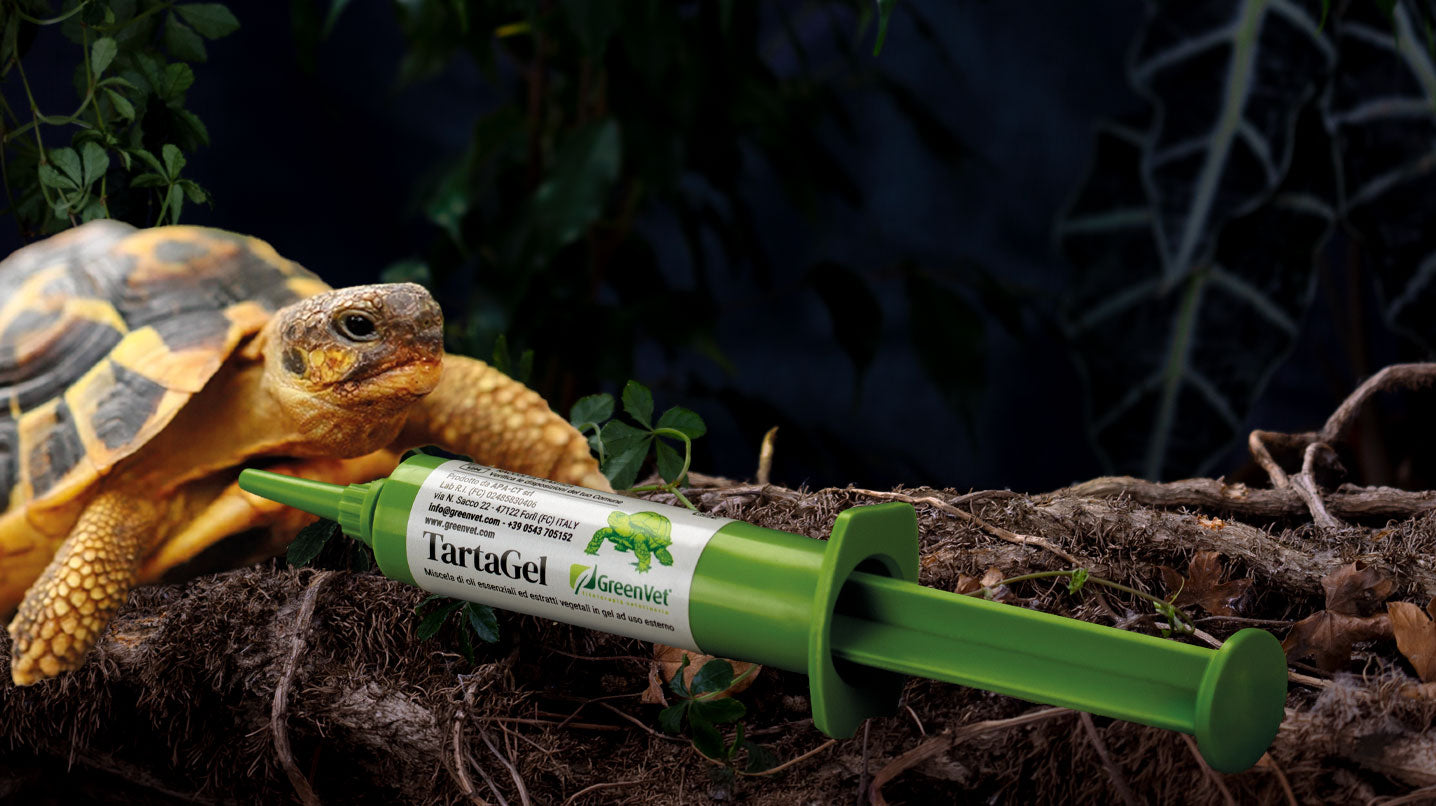 GreenVet Tartagel