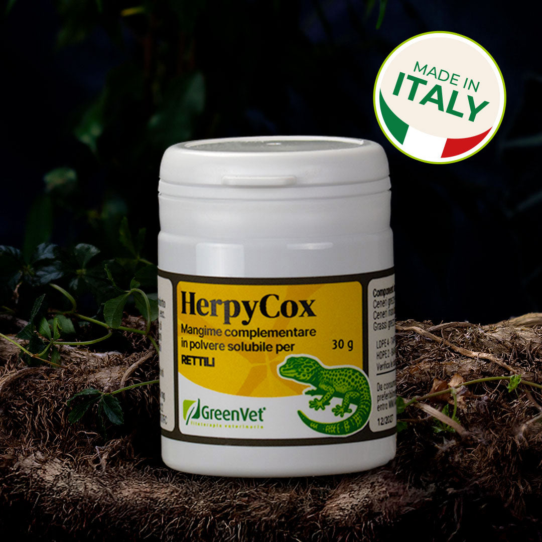 HerpyCox