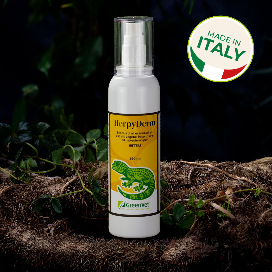 HerpyDerm