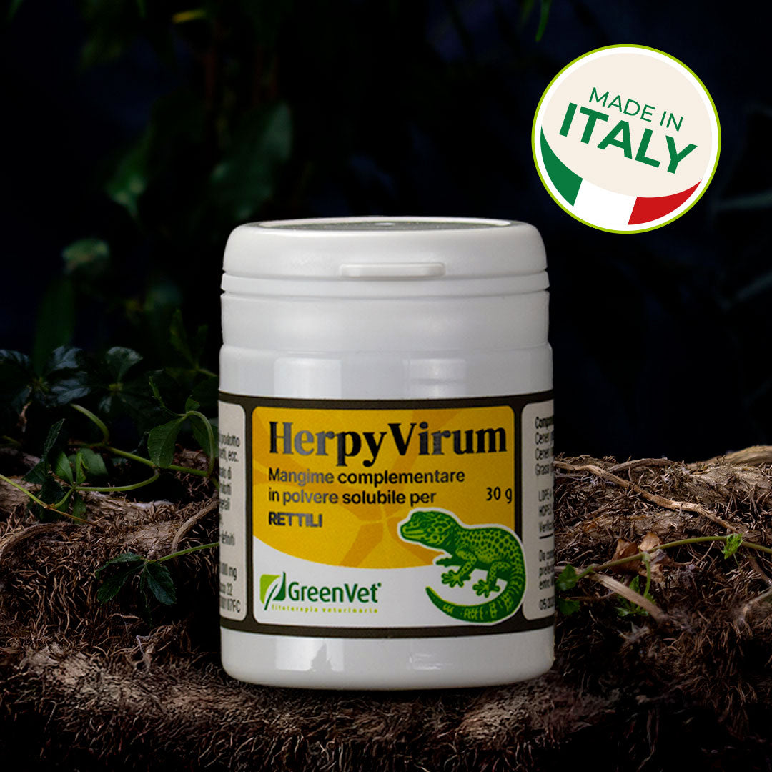 HerpyVirum